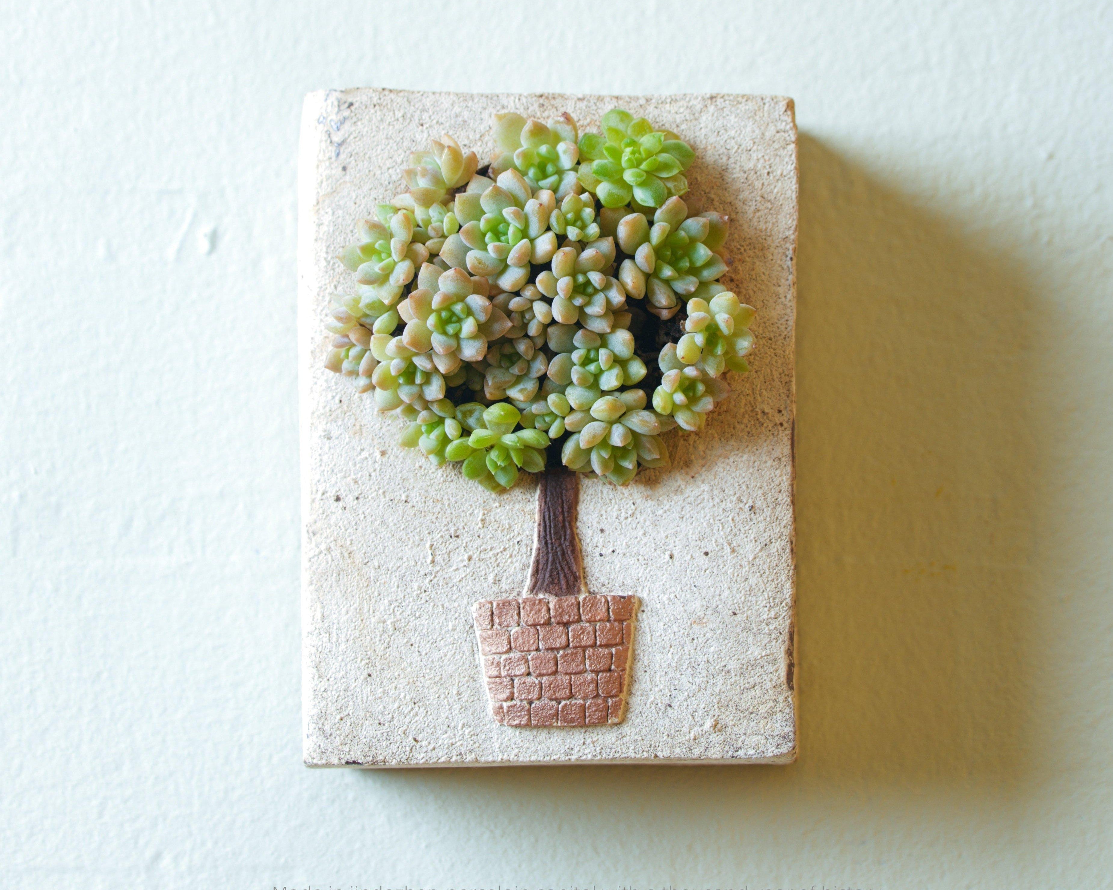 Hand-Painted Succulent Pot