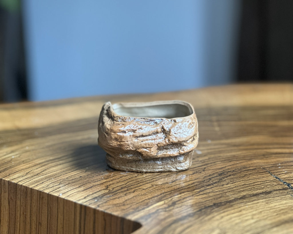 Rustic Terracotta Flower Pot
