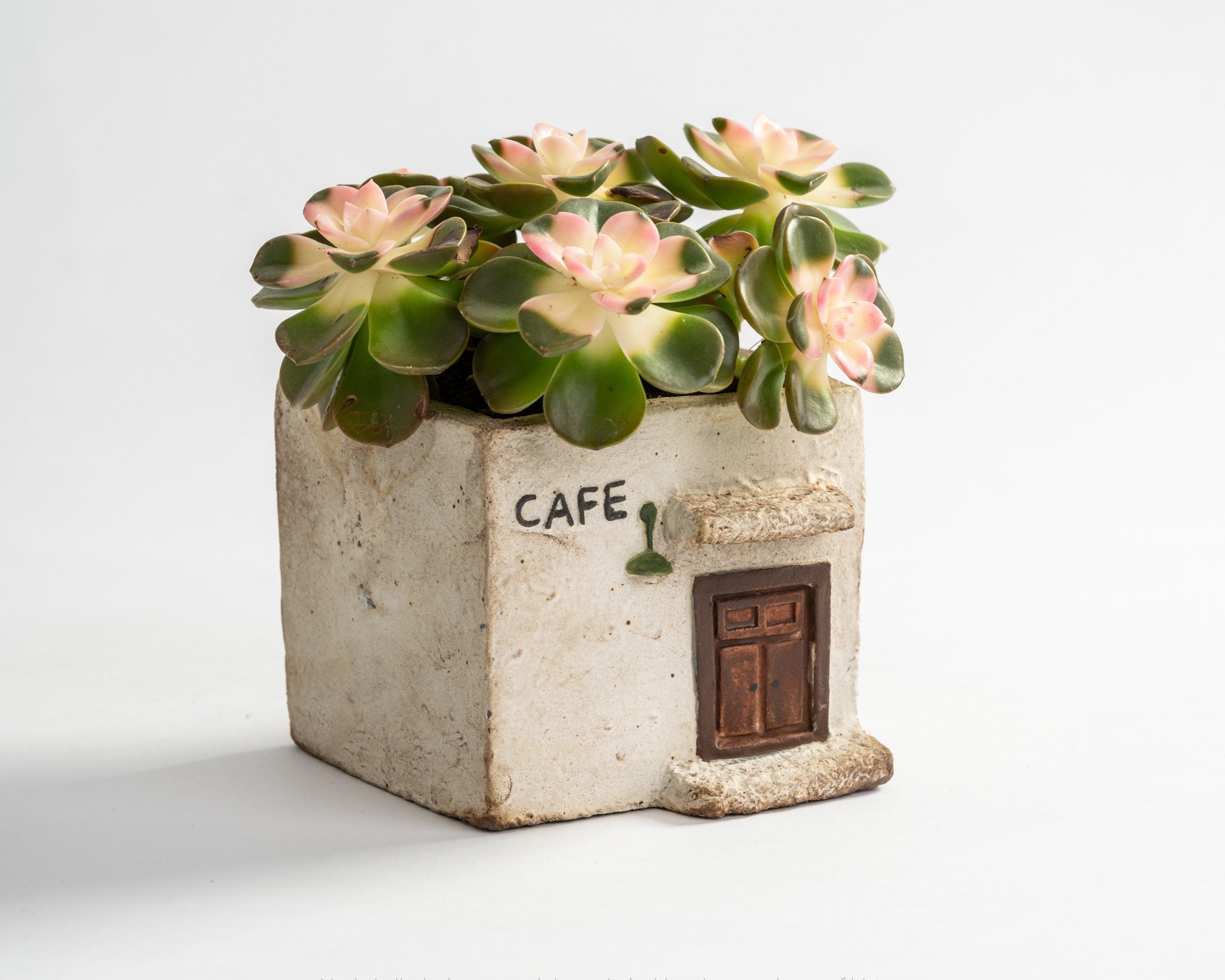 Hand-Painted Succulent Pot