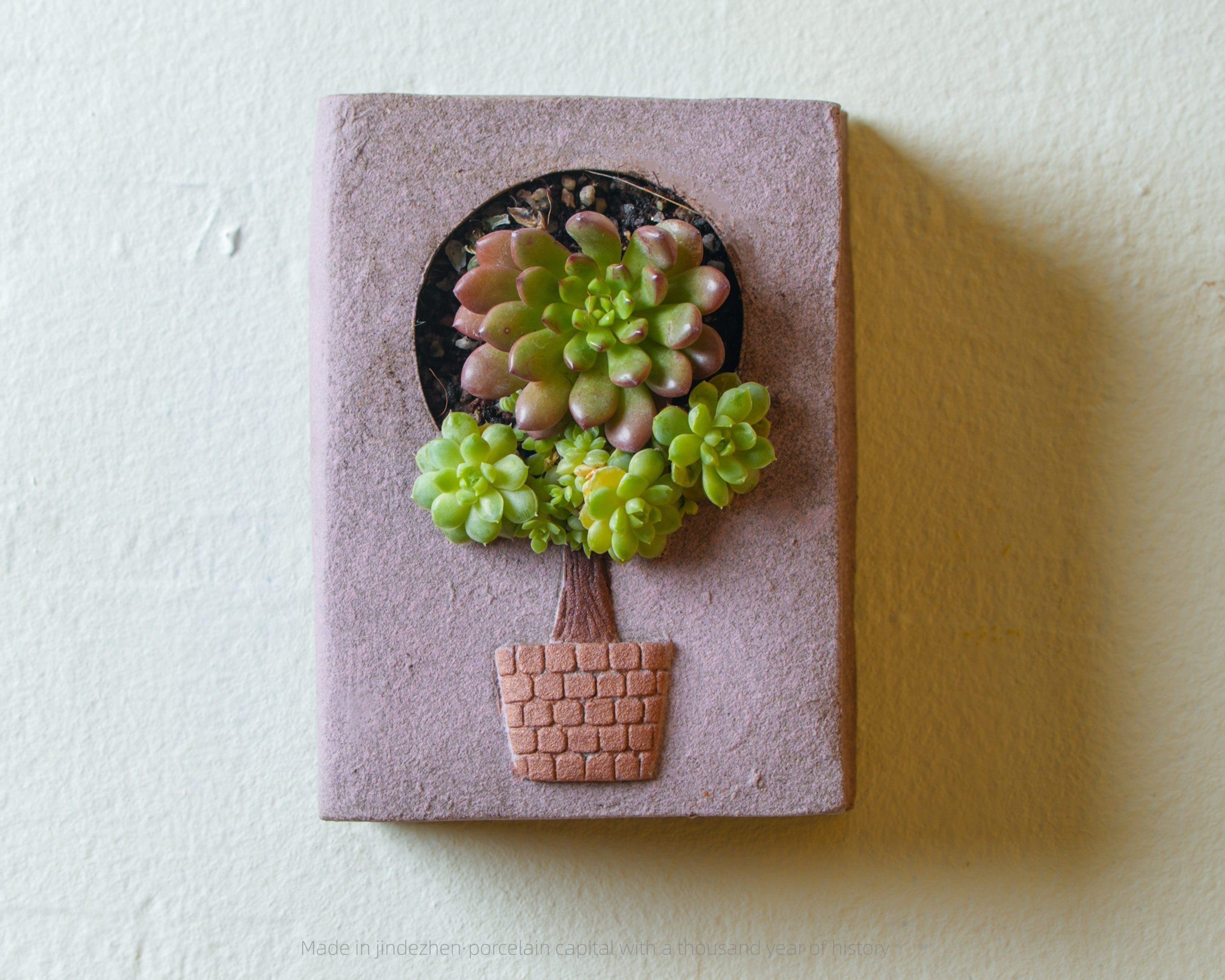 Hand-Painted Succulent Pot