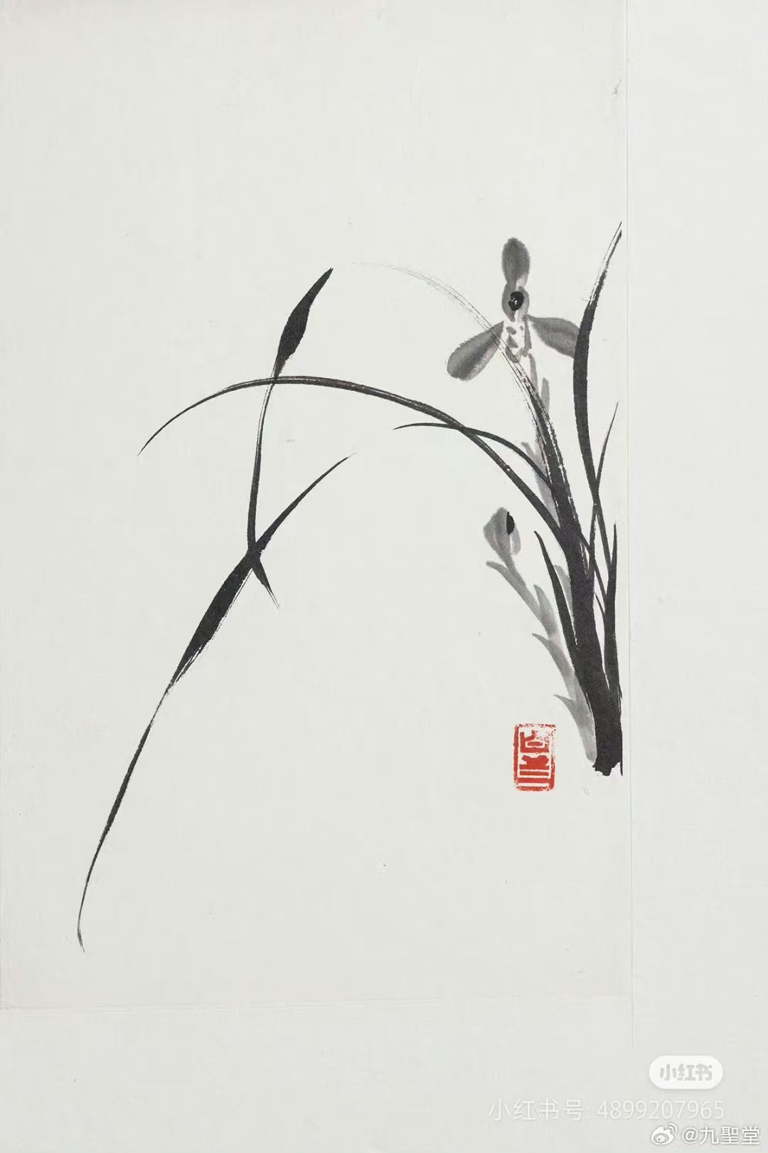 Orchid Chinese Hand Painting