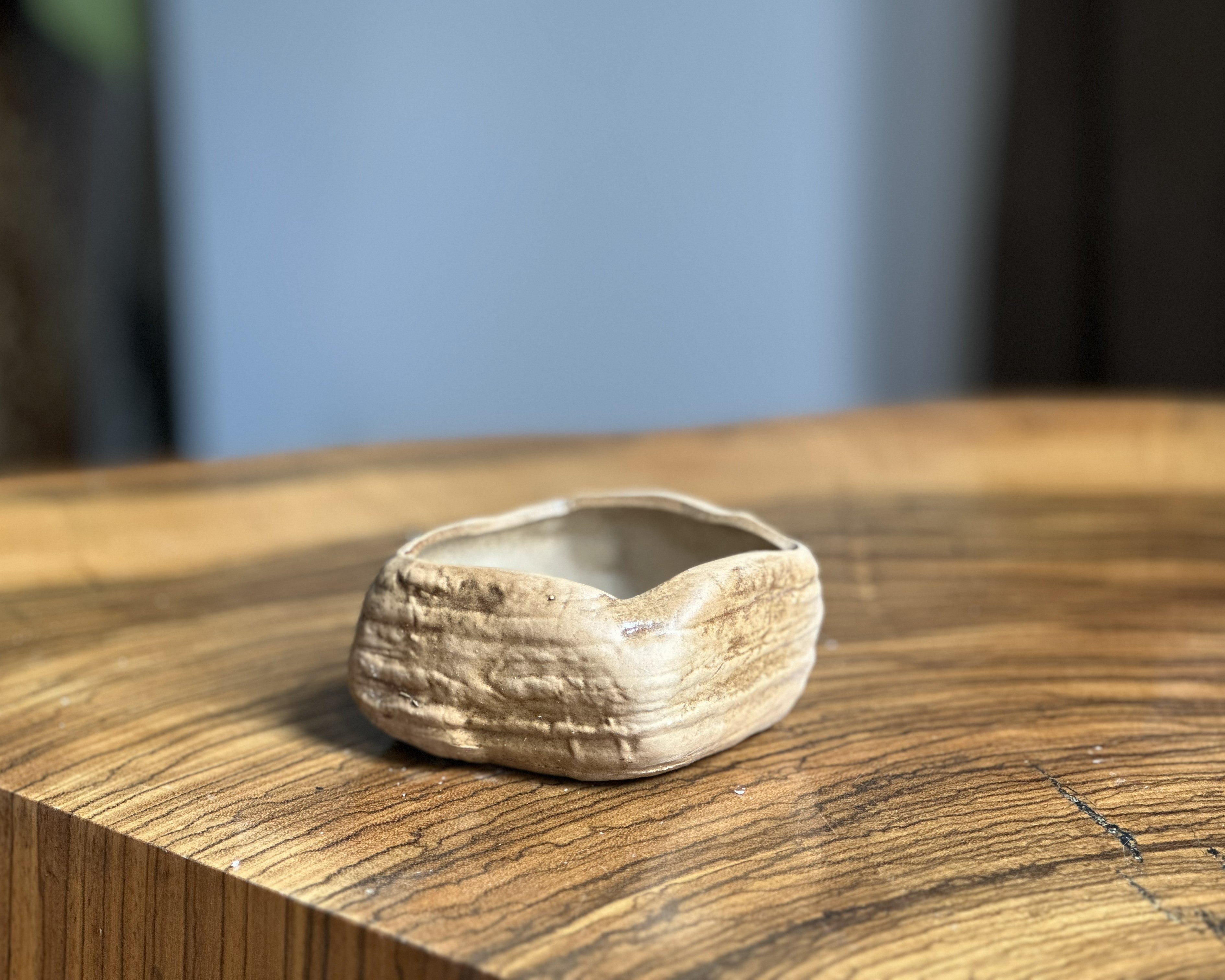 Rustic Terracotta Flower Pot