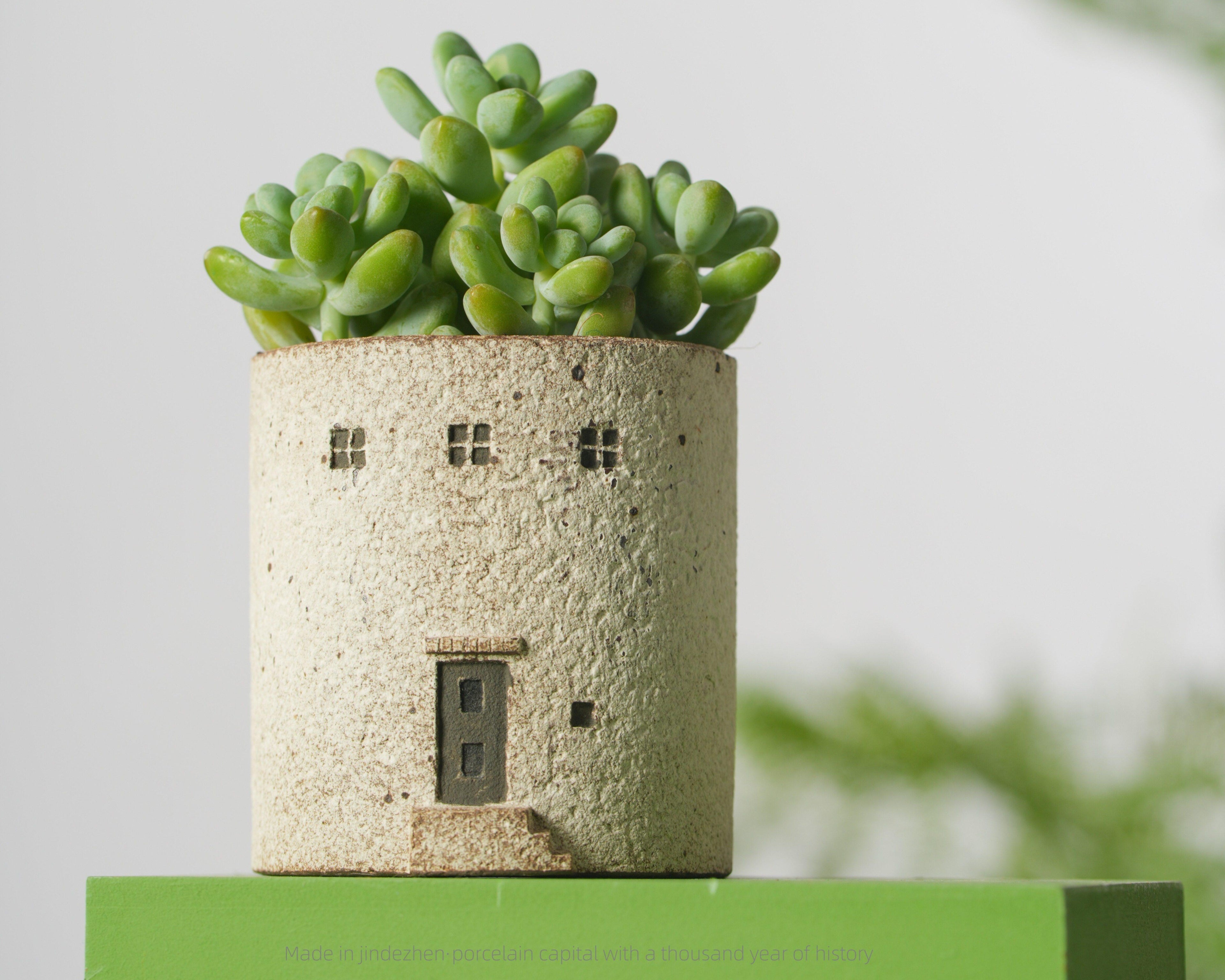 Hand-Painted Succulent Pot