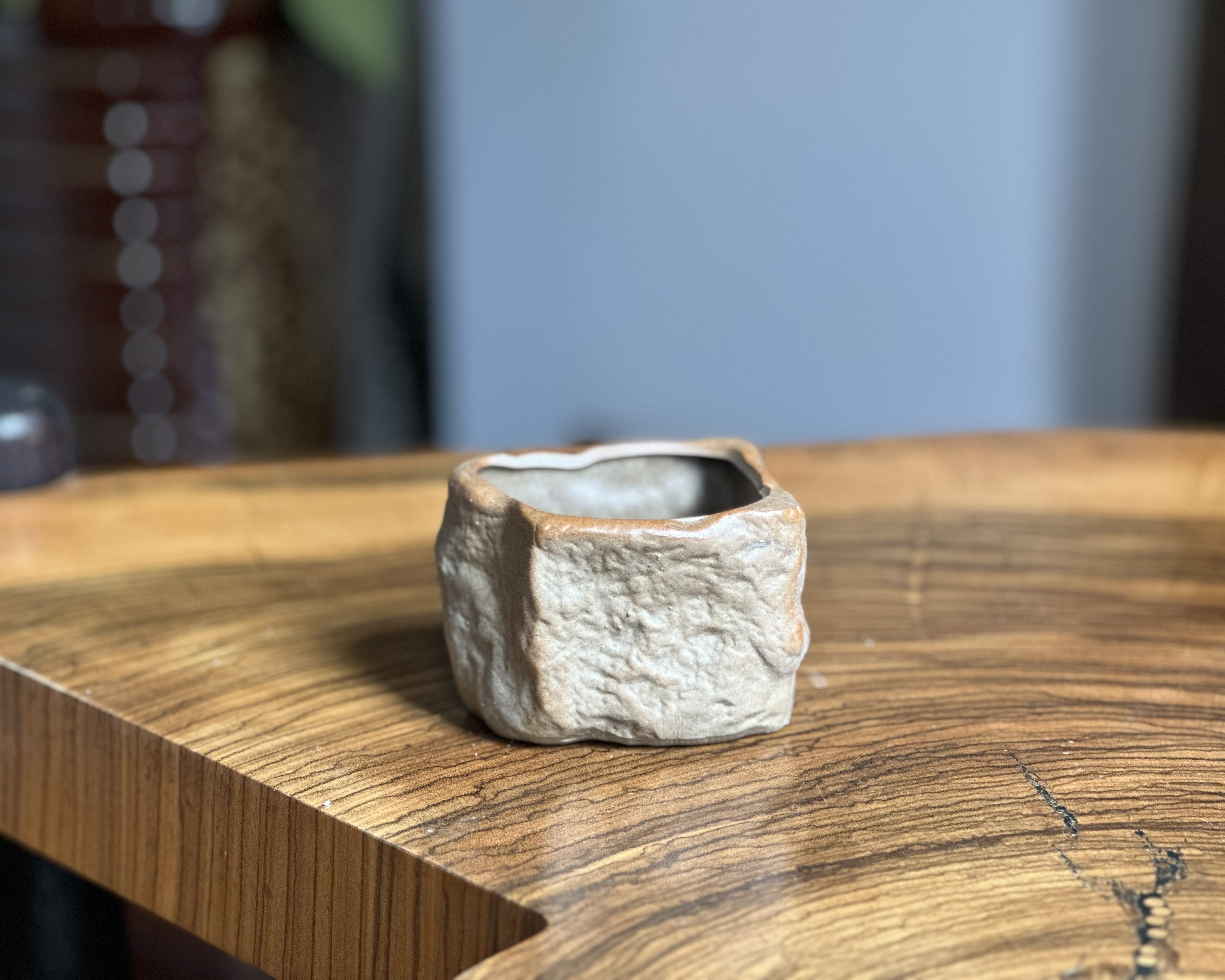 Rustic Terracotta Flower Pot