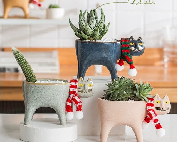 Cat succulent pot (without plant)