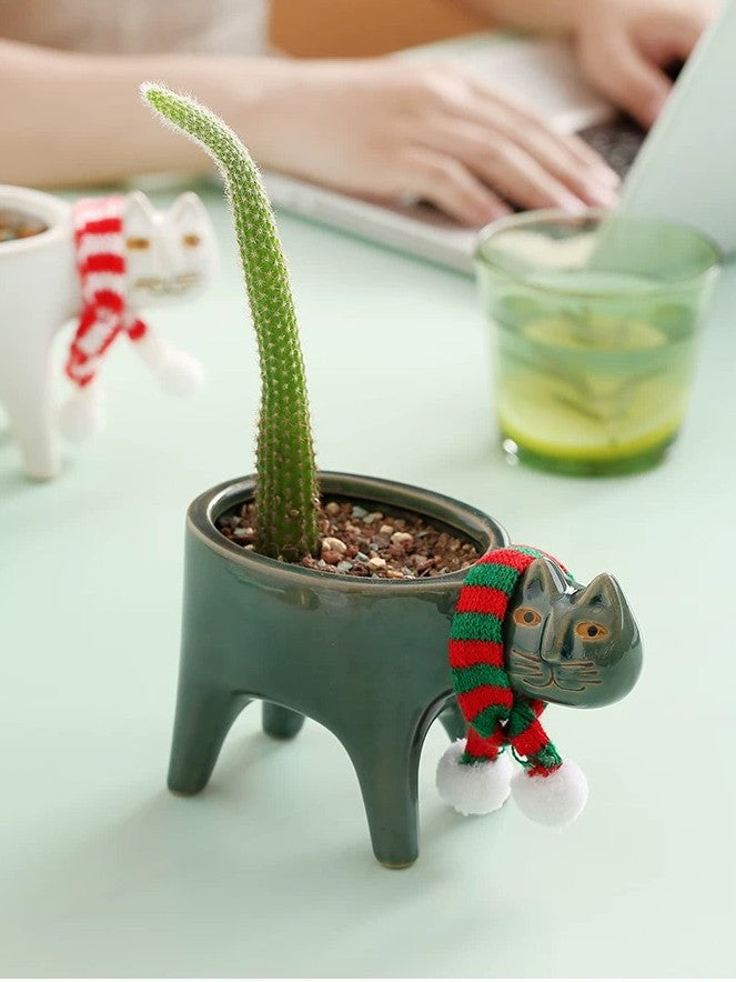 Cat succulent pot (without plant)